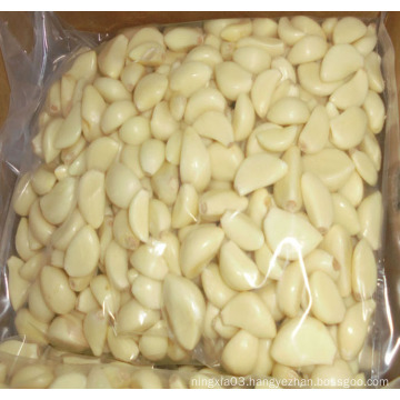 Vacuum bag  packaging peeled garlic